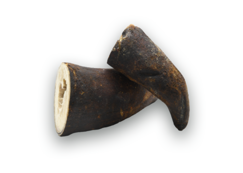 Cow Horns - Image 2